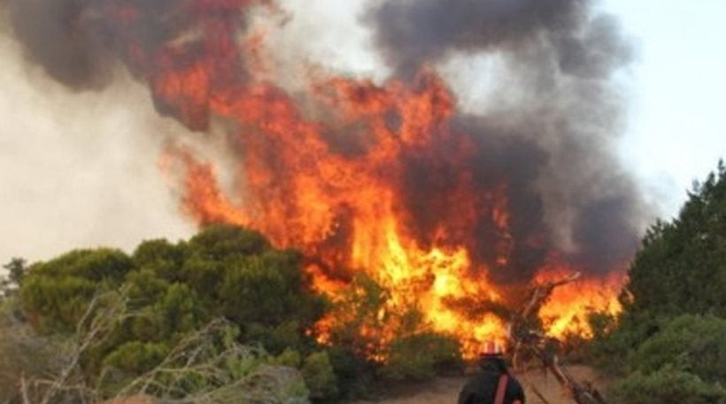 Μεγάλη φωτιά σε δάσος στην περιοχή Καφενεδέλια της Λέσβου